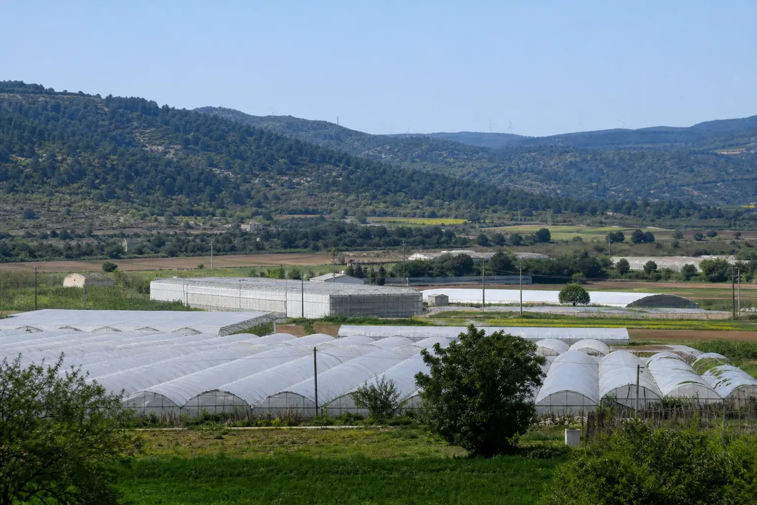 Vue d’une plaine agricole en arrière-plan de collines, sud de la France